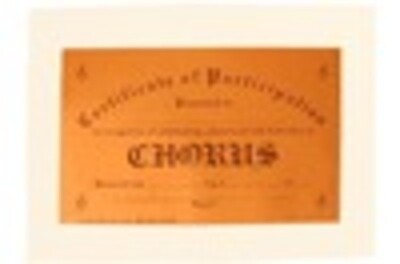 AWARD CERTIFICATE PARTICIPATION BAND COPPER FO