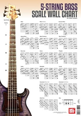 5 STRING BASS GUITAR SCALE WALL CHART