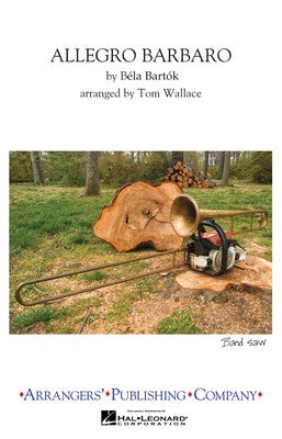 ALLEGRO BARBARO MB4 SC/PTS (POD)