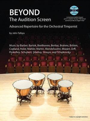 BEYOND THE AUDITION SCREEN BK/CD