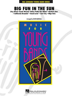 BIG FUN IN THE SUN CB3 SC/PTS (POD)