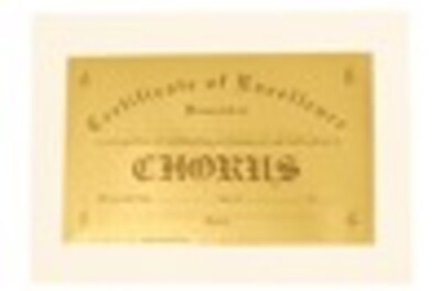 AWARD CERTIFICATE EXCELLENCE BAND  GOLD FOIL