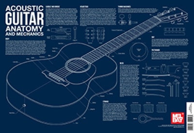 ACOUSTIC GUITAR ANATOMY WALL CHART