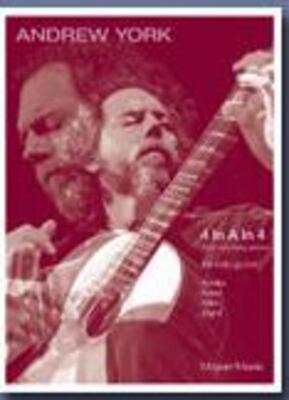 4 IN A IN 4 GUITAR SOLO