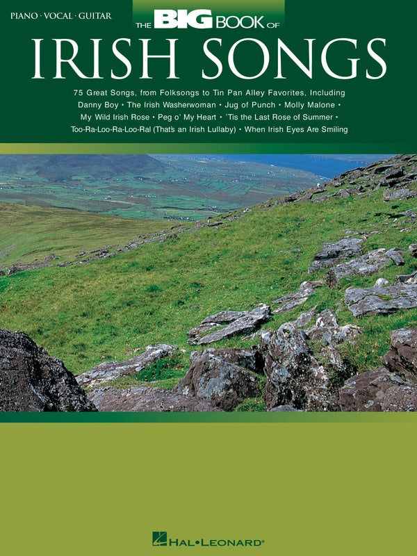 BIG BOOK OF IRISH SONGS PVG